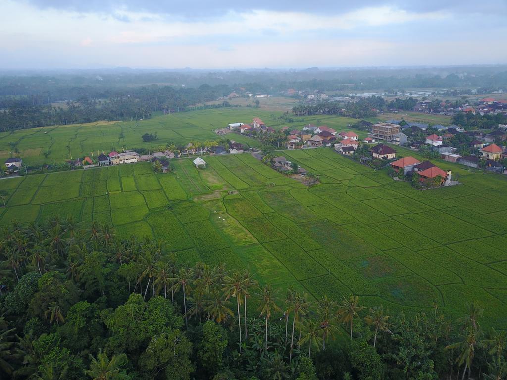 Hotel Pangkung Sari Ubud Esterno foto