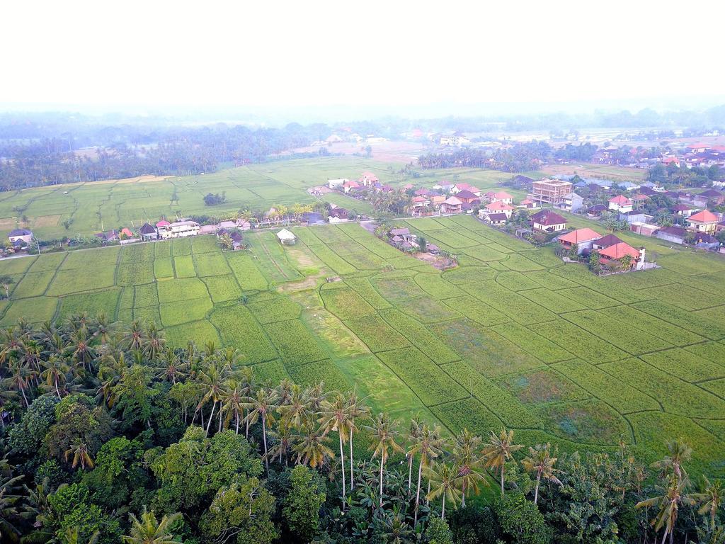 Hotel Pangkung Sari Ubud Esterno foto